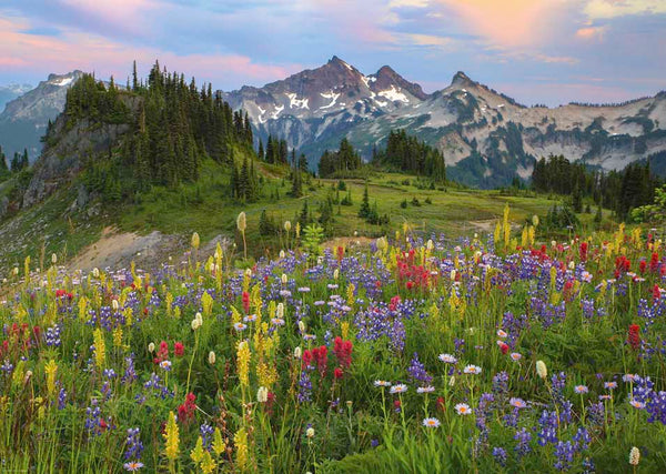 2000 Tatoosh Mountains