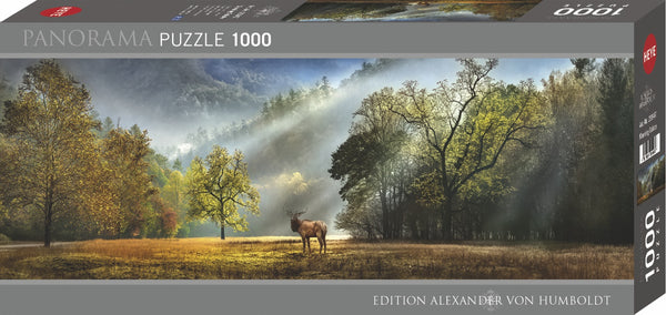 1000 Morning Salute Panorama