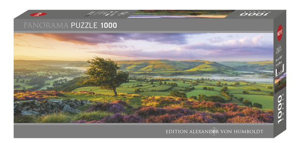 1000 Purple Bloom Panorama