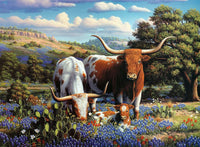 500 Loving Longhorns