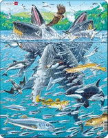 Tray Puzzle Humpback Whale