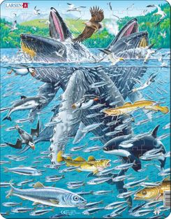 Tray Puzzle Humpback Whale
