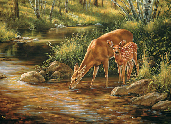 350 Deer Family