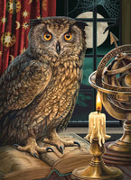 1000 The Astrologer