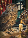 1000 The Astrologer