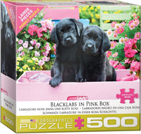 500 Black Labs in a Pink Box
