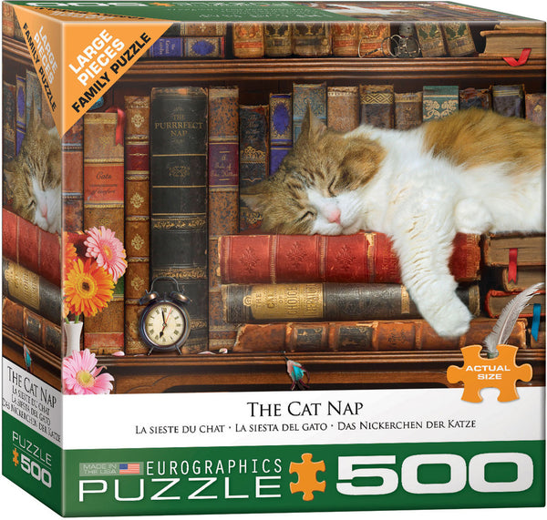 500 The Cat Nap