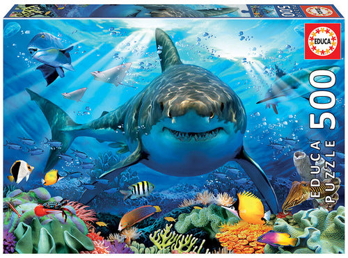 500 Great White Shark