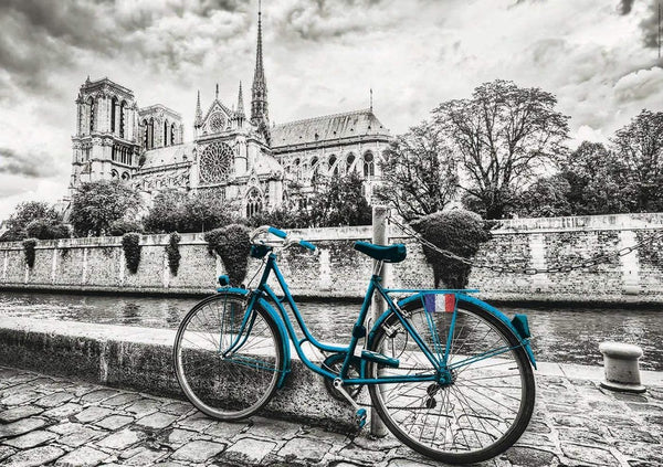 500 Bike Near Notre Dame