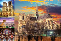 1000 Notre Dame Collage