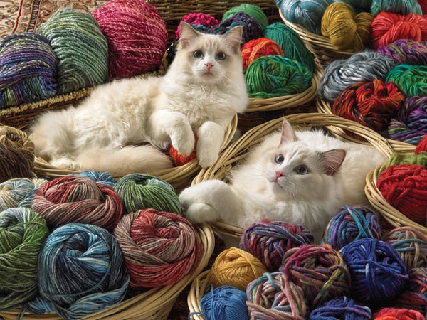 275 Ragdolls