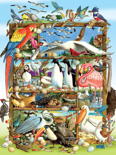 350 Birds of the World