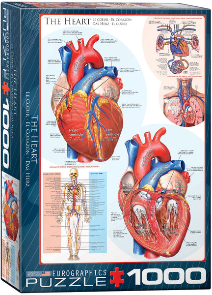 1000 The Heart
