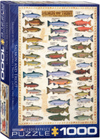 1000 Salmon & Trout