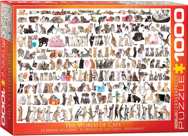 1000 The World of Cats