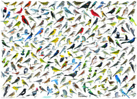 1000 The World of Birds