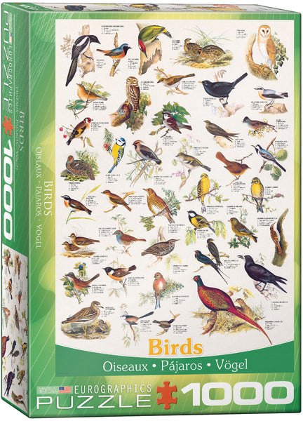 1000 Birds