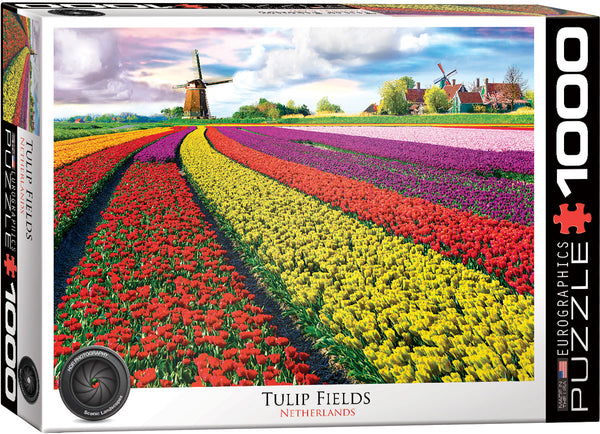 1000 Tulip Fields