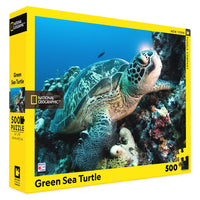 500 Green Sea Turtle