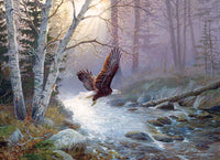 1000 Spring Run