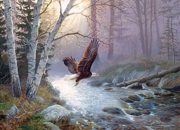 1000 Spring Run