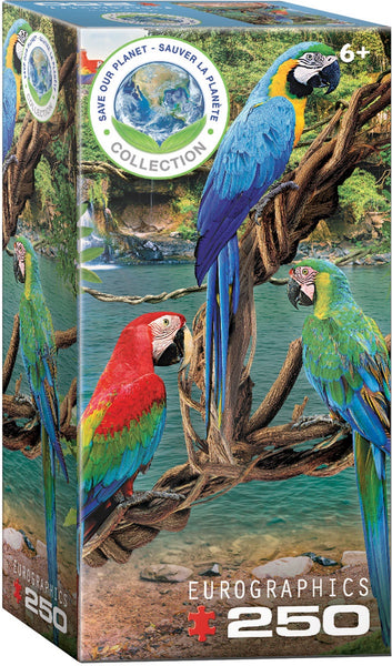 250 Parrots
