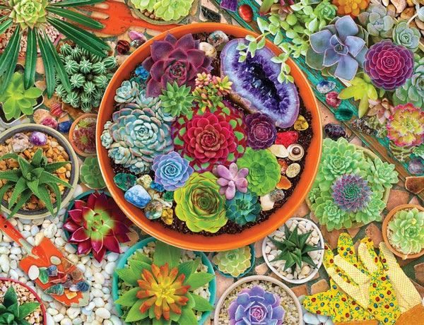 1000 'Succulent Garden'