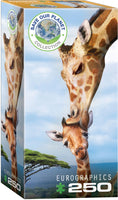 250 Giraffes