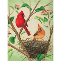 500 Northern Cardinals