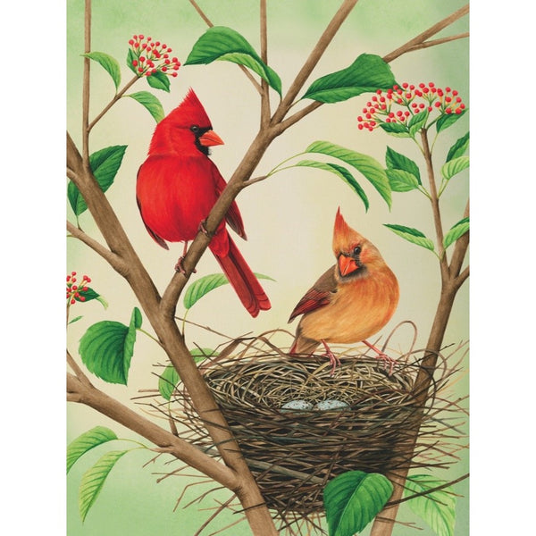 500 Northern Cardinals