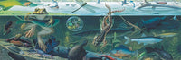 500 Freshwater Ecosystem