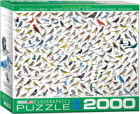 2000 The World of Birds