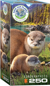 250 Otters