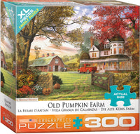 300 Old Pumpkin Farm