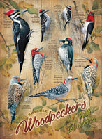 500 Notable Woodpeckers