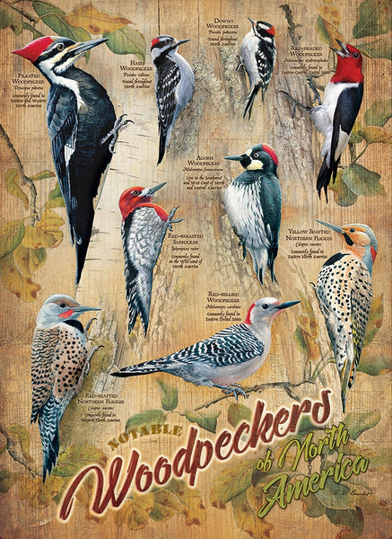 500 Notable Woodpeckers