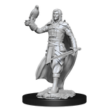 Elf Ranger Male (W13)