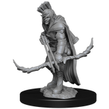 Elf Ranger Male (W13)