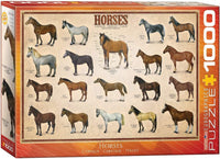 1000 Horses