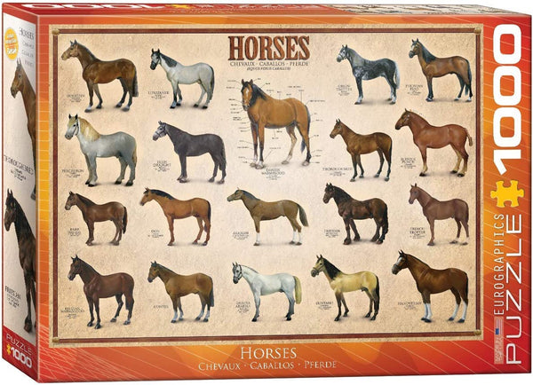 1000 Horses