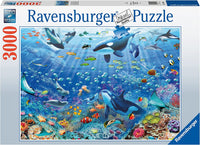 3000 Colorful Underwater World