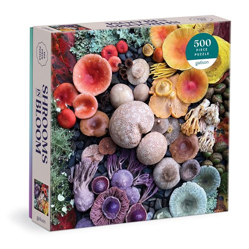 500 Shrooms in Bloom