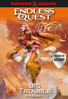 Dungeons & Dragons Endless Quest: Big Trouble (Hardcover)