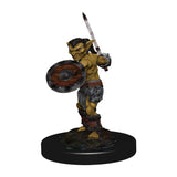 Dungeons & Dragons Fantasy Miniatures: Icons of the Realms Monster Pack - Village Raiders