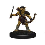 Dungeons & Dragons Fantasy Miniatures: Icons of the Realms Monster Pack - Village Raiders