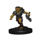 Dungeons & Dragons Fantasy Miniatures: Icons of the Realms Monster Pack - Village Raiders