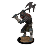 Dungeons & Dragons Fantasy Miniatures: Icons of the Realms Monster Pack - Village Raiders