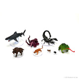 Dungeons & Dragons Icons of the Realms: Wild Shape & Polymorph Set 1