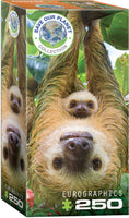 250 Sloths