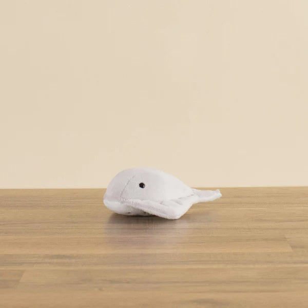 Mini Singi the Stingray